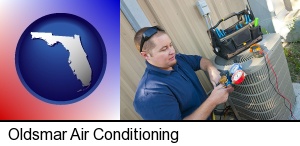 an HVAC contractor servicing an air conditioner in Oldsmar, FL